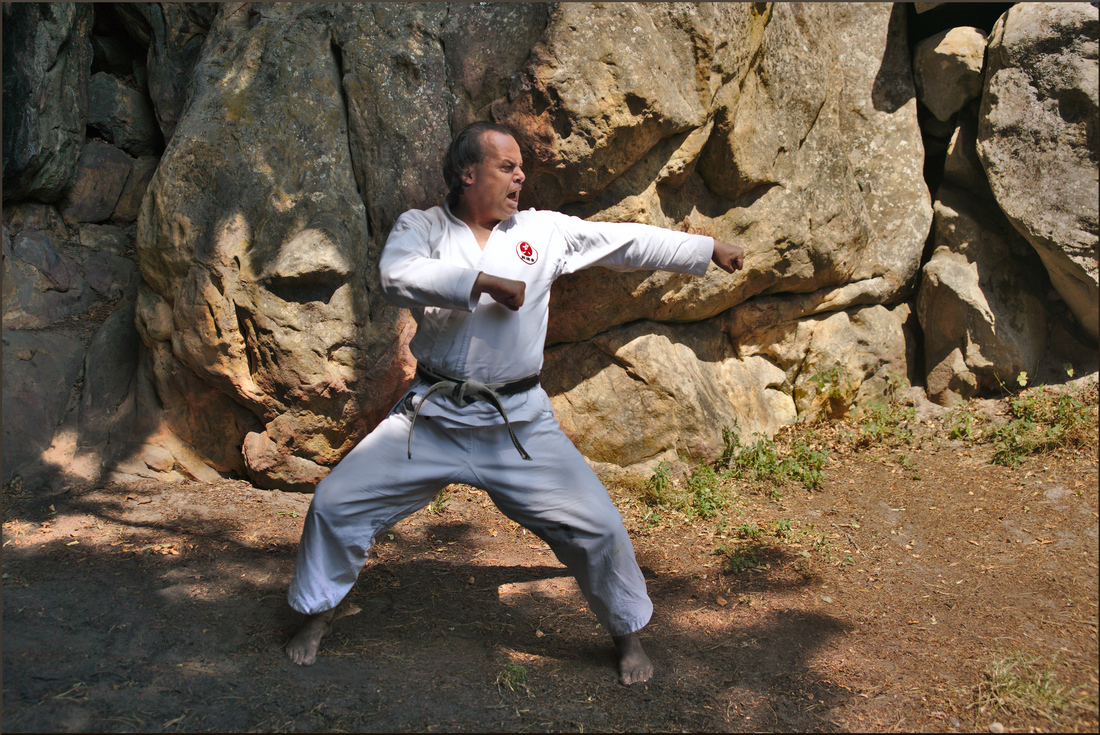 karateka-film-realisateur