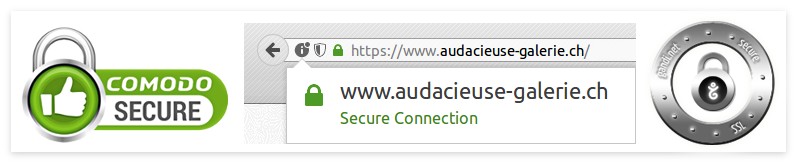 audacieuse-galerie secure