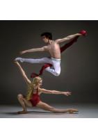 Photographe pour spectacle de ballet