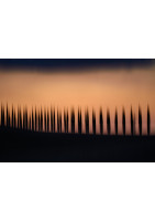 Toscane
