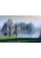 Front de brouillard