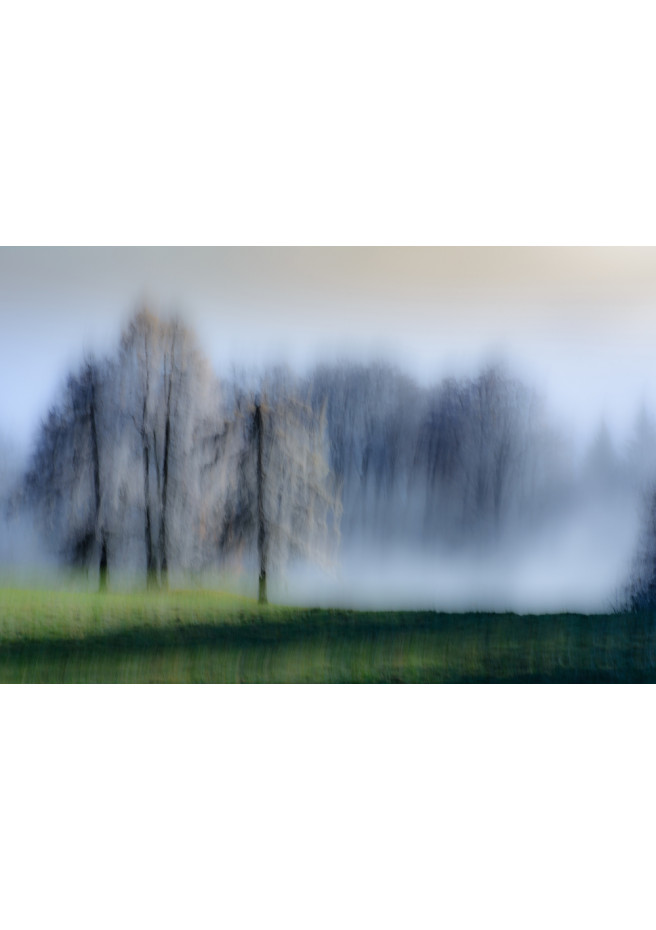 Front de brouillard