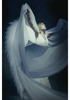 Série Angel, N°2 L'envol Photographie d'art