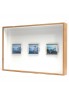 three polaroid photographs
