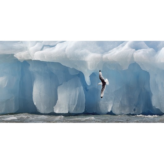 Fine art photography: Iceberg Svalbard Archipelago.