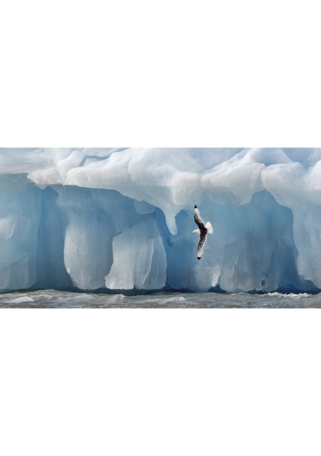 Fine art photography: Iceberg Svalbard Archipelago.