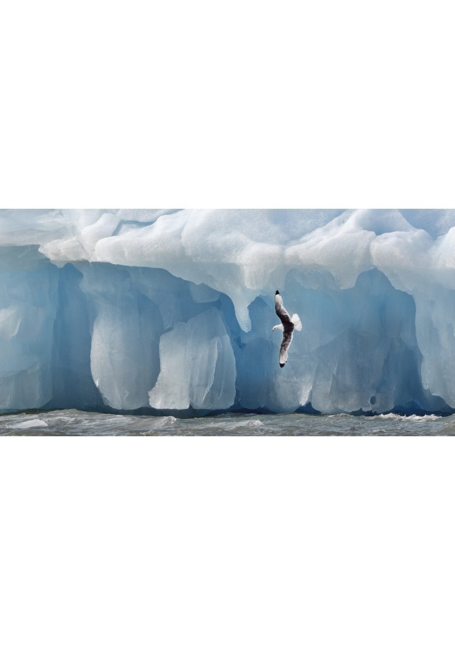 Kunstfotografie: Iceberg Inselgruppe Svalbard.