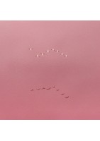 Photographie d'art - Epars dans le futur - Thierry Vezon