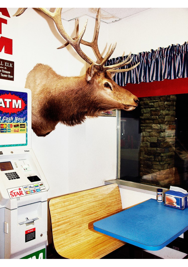 Un cerf au restaurant