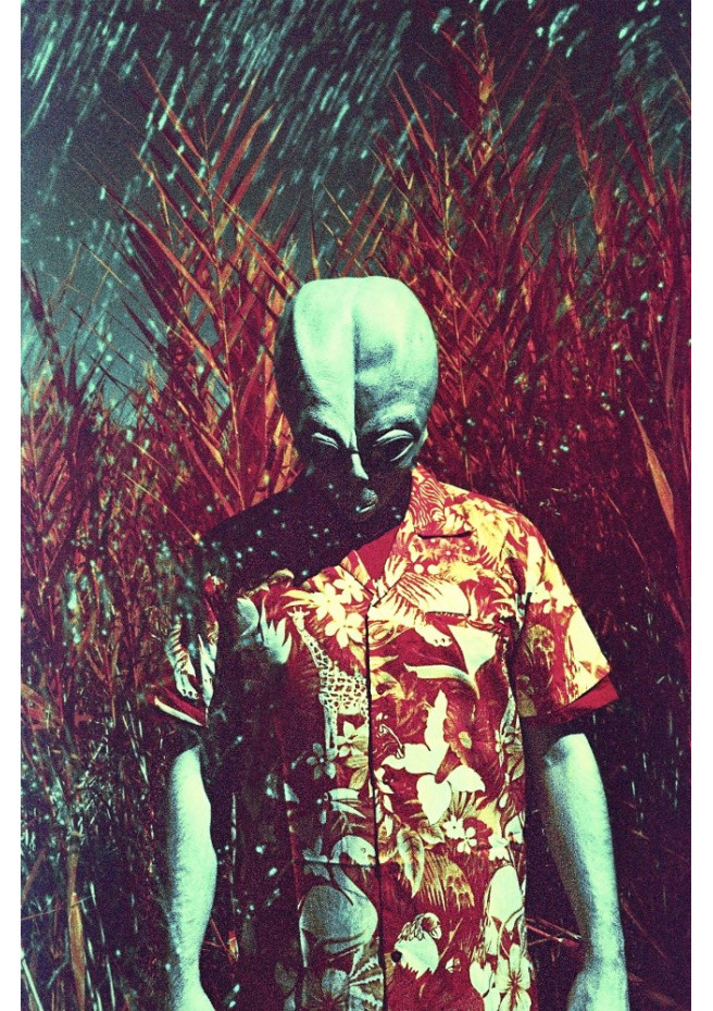 Alien's Holidays