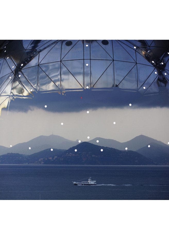 AtomicGarden Art Photography Stéphane Stribick