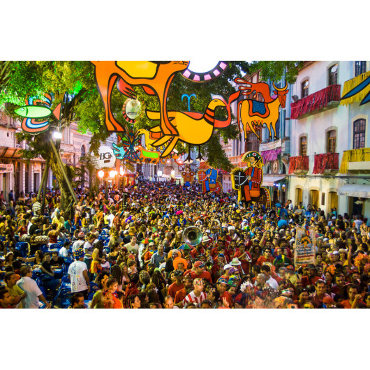 A Flower in the Mouth, &quot;Rua de Bom Jesus&quot;