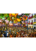 A Flower in the Mouth, "Rua de Bom Jesus"