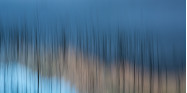 Within our walls, Simon Gruber, Photographer.