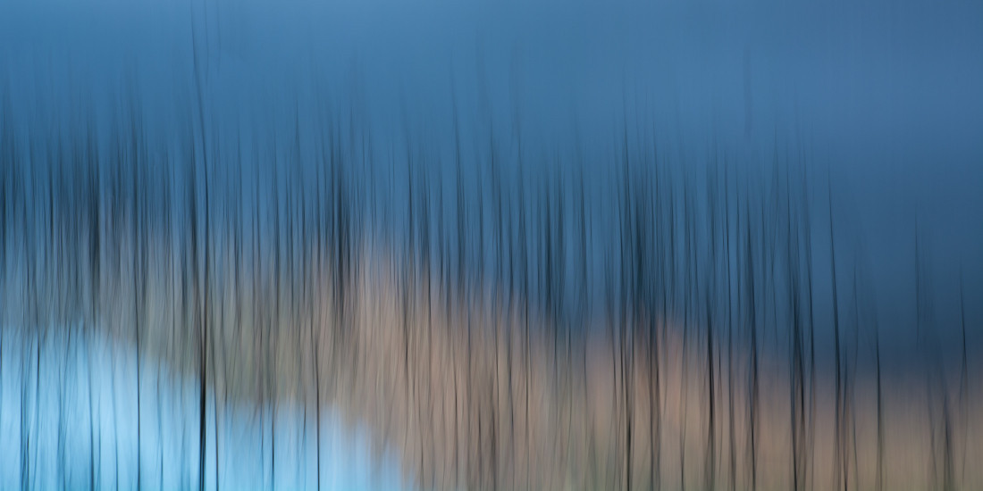 Within our walls, Simon Gruber, Photographer.