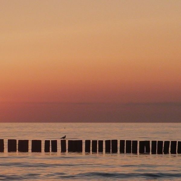 Your photography course in Carouge GE