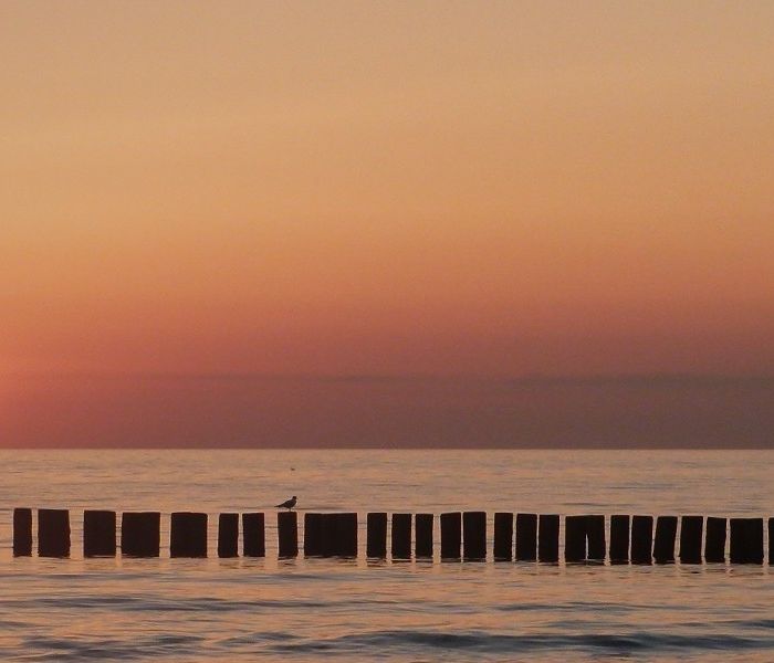 Votre cours de photographie à Carouge GE