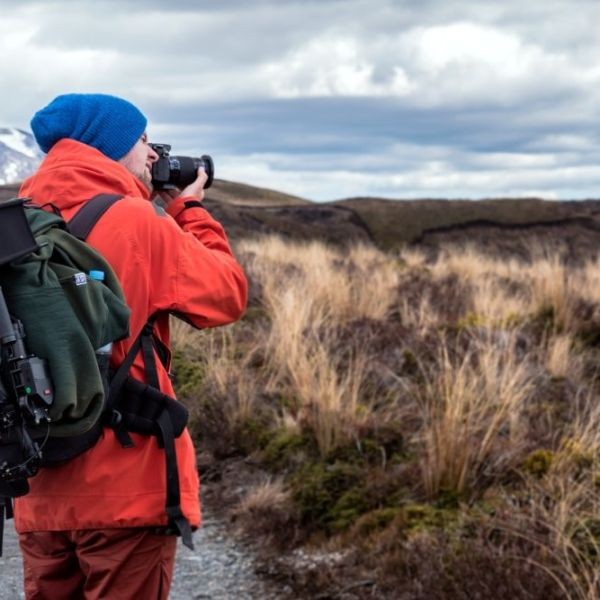 Cours photo naturaliste et animalier