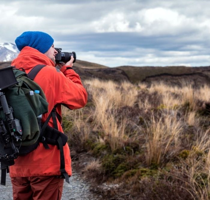 Cours photo naturaliste et animalier
