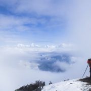 Cours photo naturaliste et animalier