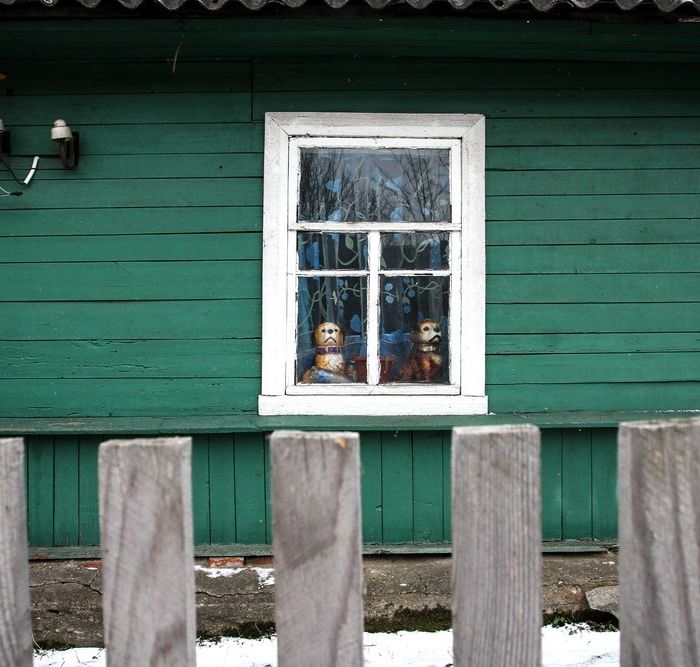 Die beiden Hunde am Fenster