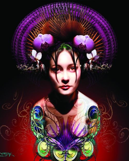 La larme et L&rsquo;orchidée