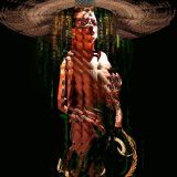 The Maiden and Death: Queen of Shebaa