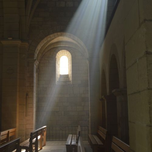 Light