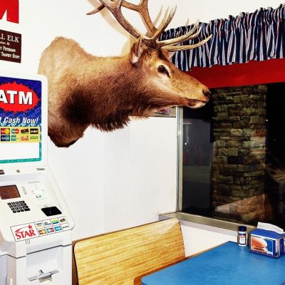 A deer in a restaurant