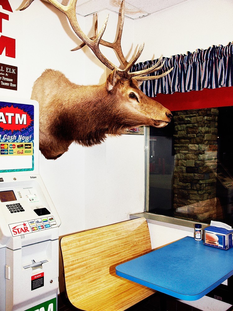 Un cerf au restaurant
