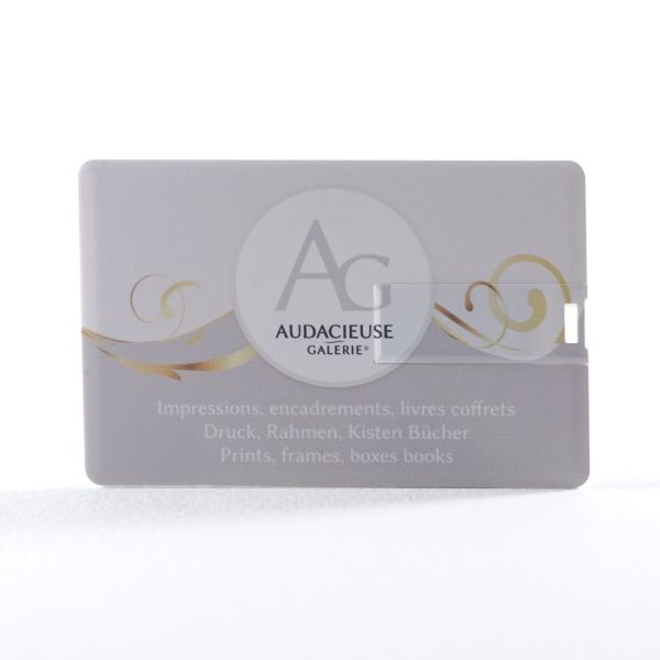 La carte USB Audacieuse-Galerie