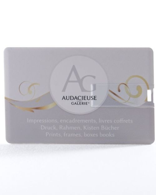 The Audacious USB Map-Gallery