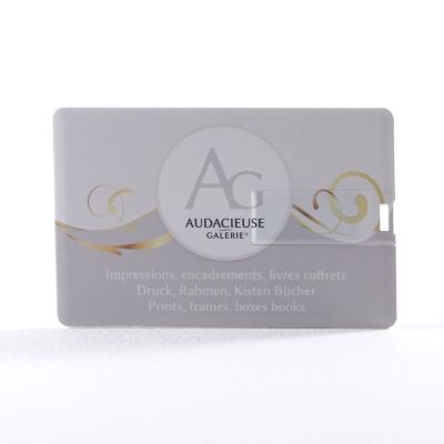 The Audacious USB Map-Gallery