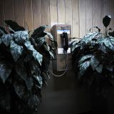 Phone, Palm Springs, California