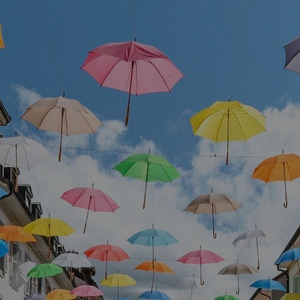 Seen in the Carouge showcase