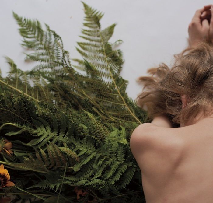 Ich mag keine Blumen II. Farne und Wiesenblumen. Kunstfotografie