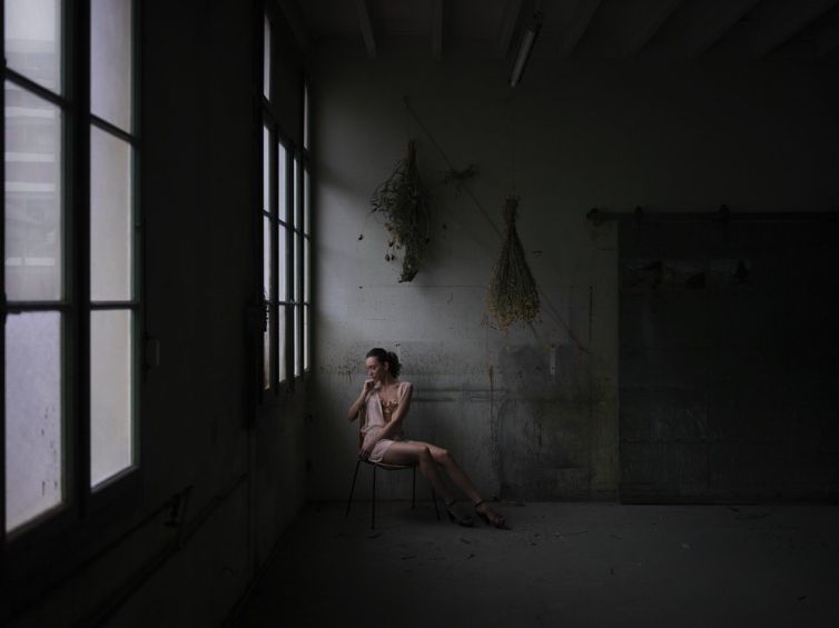 Kunstfotografie: Tote Blumen I. Eine Allegorie auf das Vergehen der Zeit.