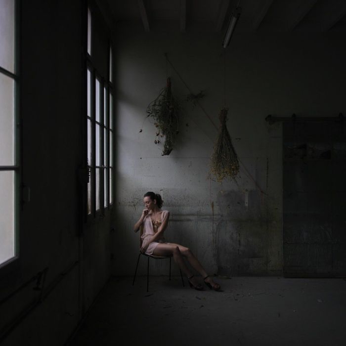 Kunstfotografie: Tote Blumen I. Eine Allegorie auf das Vergehen der Zeit.