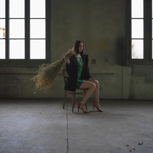 Kunstfotografie: Tote Blumen II. Ein Strauß wie eine Waffe.