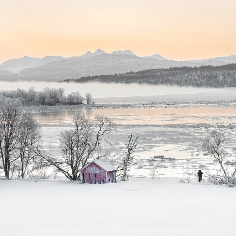 Photographie d’art : Le photographe.