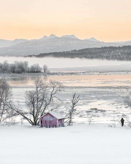 Photographie d&rsquo;art : Le photographe.