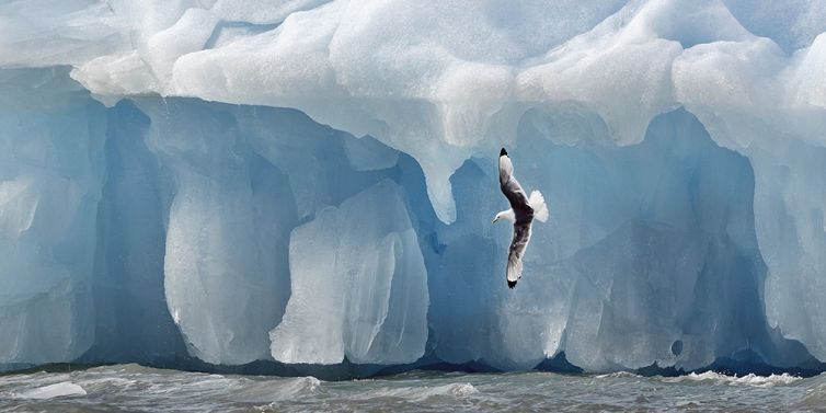 Fine Art Fotografie: Iceberg