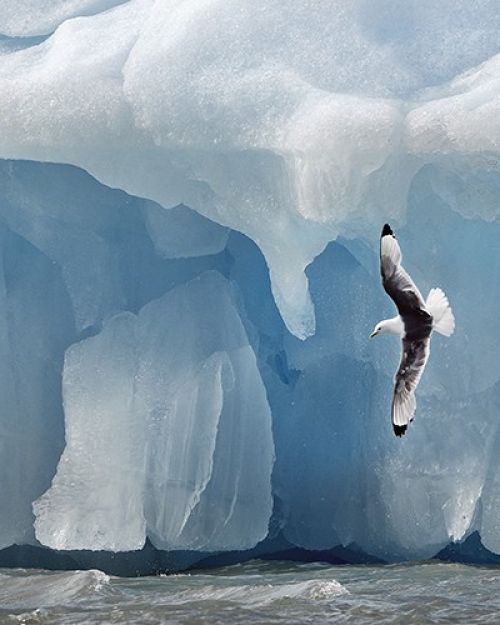 Fine Art Fotografie: Iceberg