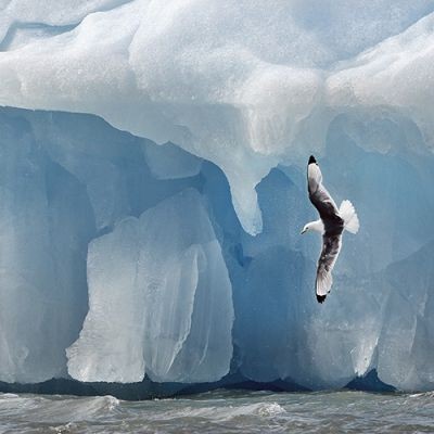Photographie d’art: Iceberg