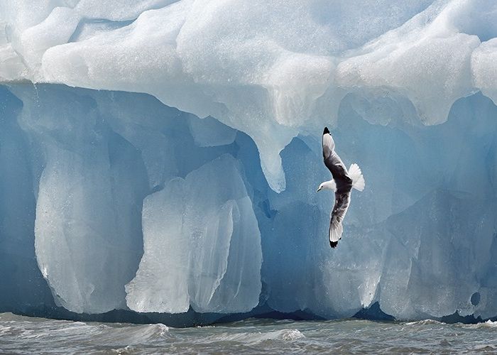 Photographie d&rsquo;art: Iceberg