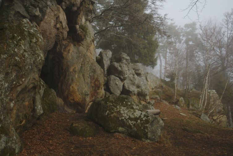 rochers en forêt