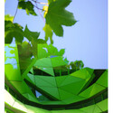 stephane-stribick-photographe