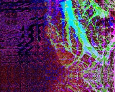 Photographe : Maximilien MINSK