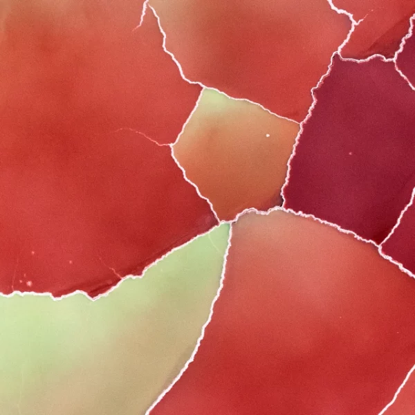 Photographe : Thierry Vezon