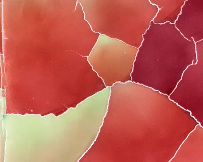 Photographe : Thierry Vezon